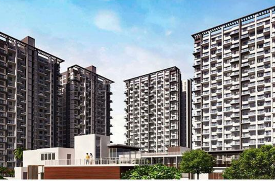 7-Plumeria-Drive-Elevation